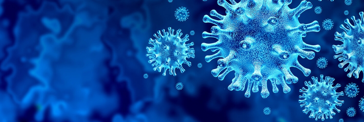 Image of the COVID virus