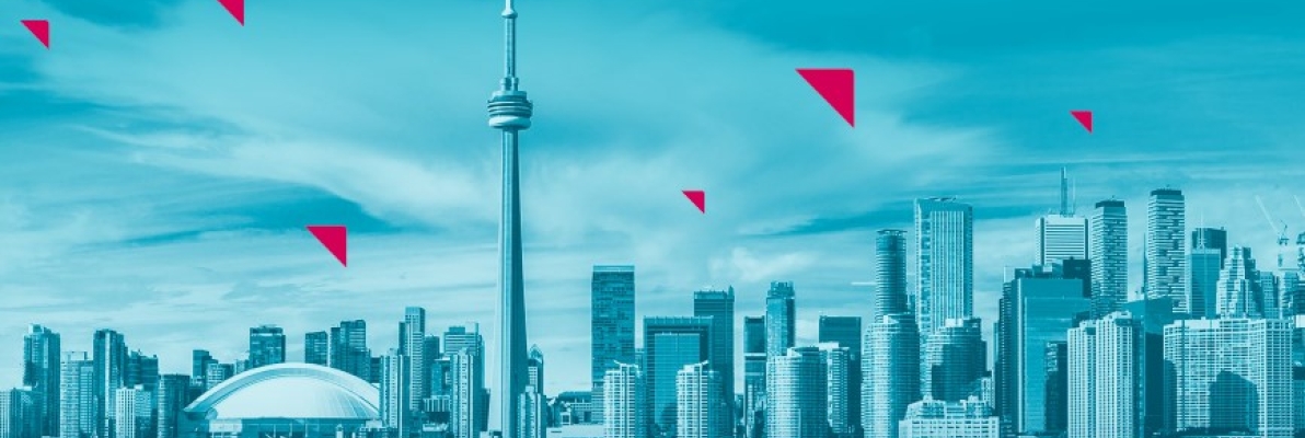 the cover artwork for the PACE 2024-2025 Annual Report